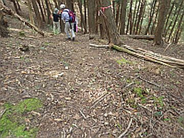 左前方に下る 左前方に下る