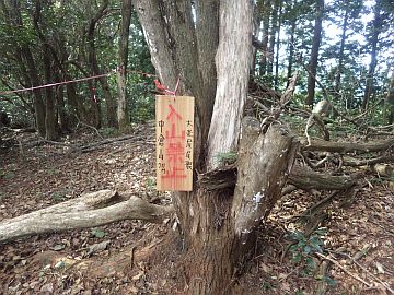711m峰 711m峰