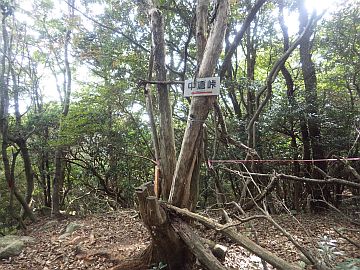 711m峰、 711m峰、