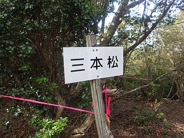 三本松 三本松