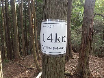 630m台 630m台
