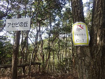 アセビの丘 アセビの丘