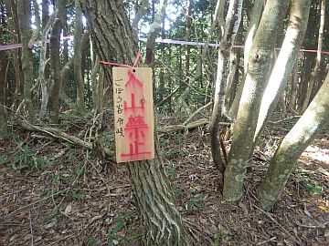 ごぼう谷分岐 ごぼう谷分岐
