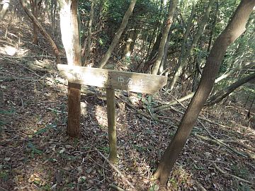 ごぼう谷分岐の標識 ごぼう谷分岐の標識