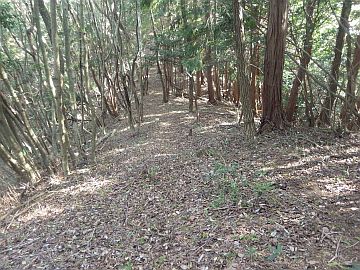 ごぼう谷分岐 ごぼう谷分岐