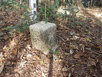 小掛山 小掛山