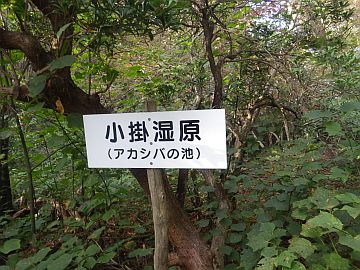 小掛湿原 小掛湿原