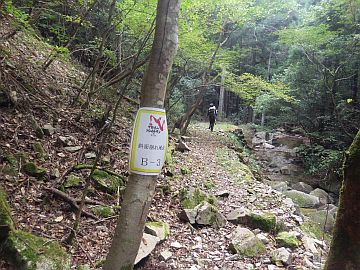 崩落地点 崩落地点