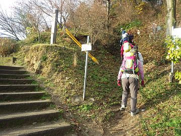20161217-084751.jpg 20161217-084751.jpg