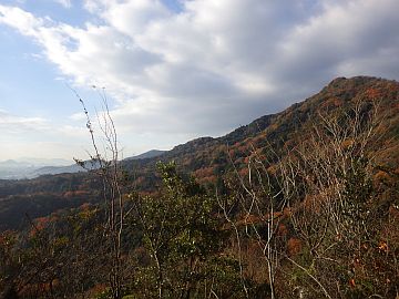 20161217-091044.jpg 20161217-091044.jpg