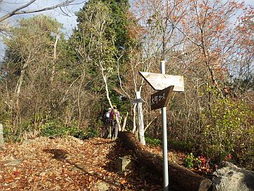 20161217-091710.jpg 20161217-091710.jpg