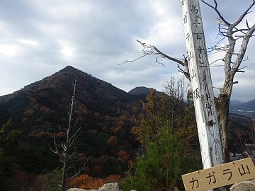 20161217-092237.jpg 20161217-092237.jpg