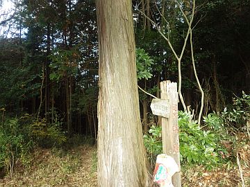20161217-094235.jpg 20161217-094235.jpg