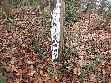 20161217-101904.jpg 20161217-101904.jpg