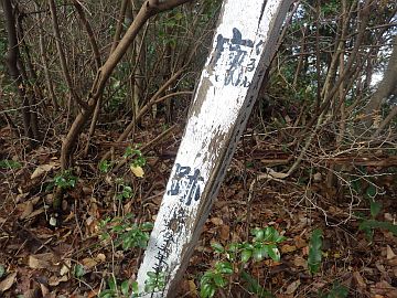 20161217-102055.jpg 20161217-102055.jpg