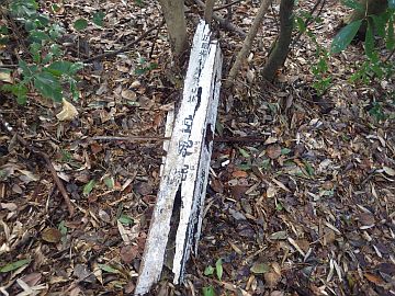 20161217-102200.jpg 20161217-102200.jpg