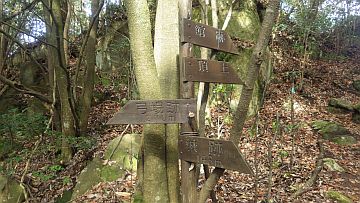 20161217-105035.jpg 20161217-105035.jpg