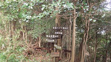 20161217-111102.jpg 20161217-111102.jpg