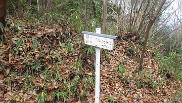 20161217-132024.jpg 20161217-132024.jpg