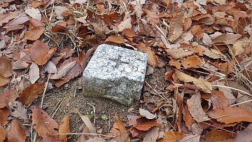 20161217-155559.jpg 20161217-155559.jpg