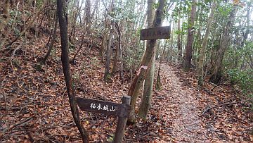 20161223-103308.jpg 20161223-103308.jpg
