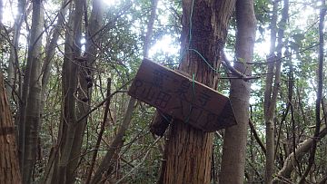 20161223-105356.jpg 20161223-105356.jpg