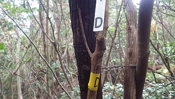 20161223-110537.jpg 20161223-110537.jpg