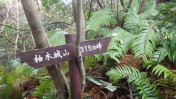 20161223-110752.jpg 20161223-110752.jpg