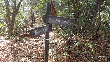 20161223-115518.jpg 20161223-115518.jpg