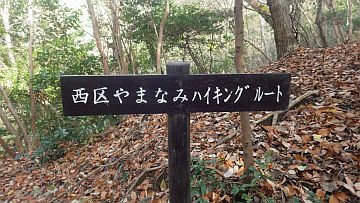 20161223-115635.jpg 20161223-115635.jpg