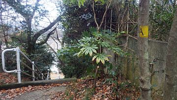 20161223-123916.jpg 20161223-123916.jpg