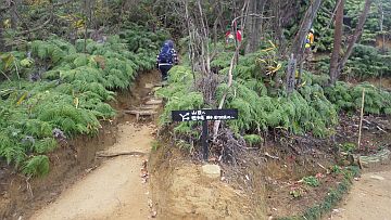20161223-131630.jpg 20161223-131630.jpg