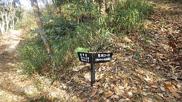20161223-140214.jpg 20161223-140214.jpg