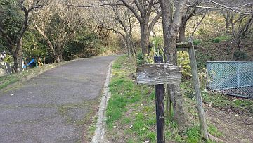 20161223-140652.jpg 20161223-140652.jpg