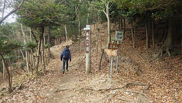 20170107-093640.jpg 20170107-093640.jpg