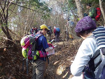 20170204-094208.jpg 20170204-094208.jpg