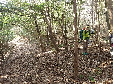 20170204-095901.jpg 20170204-095901.jpg