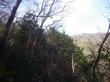 20170204-100842.jpg 20170204-100842.jpg