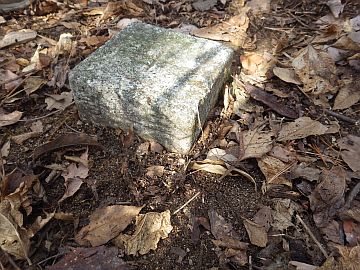 20170204-103620.jpg 20170204-103620.jpg