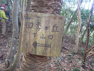 20170204-125529.jpg 20170204-125529.jpg