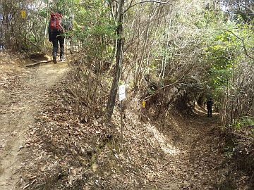 20170204-133208.jpg 20170204-133208.jpg