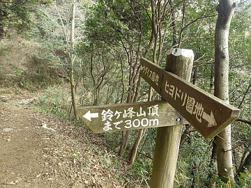 20170212-103154.jpg 20170212-103154.jpg