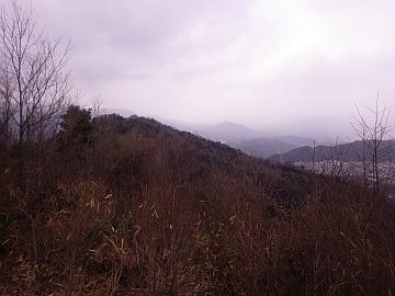 20170212-104605.jpg 20170212-104605.jpg
