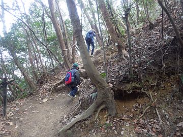 20170212-115526.jpg 20170212-115526.jpg