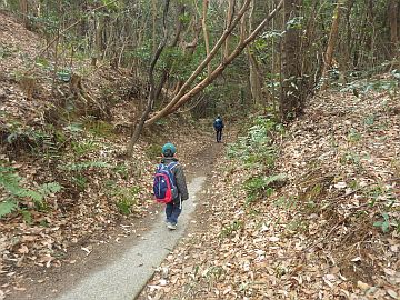 20170212-120652.jpg 20170212-120652.jpg