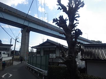 20170212-124015.jpg 20170212-124015.jpg