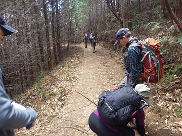 20170219-095955.jpg 20170219-095955.jpg