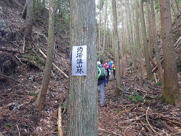 20170219-101925.jpg 20170219-101925.jpg