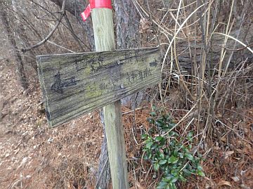 20170219-111330.jpg 20170219-111330.jpg