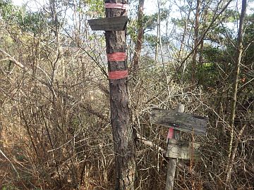 20170219-111724.jpg 20170219-111724.jpg